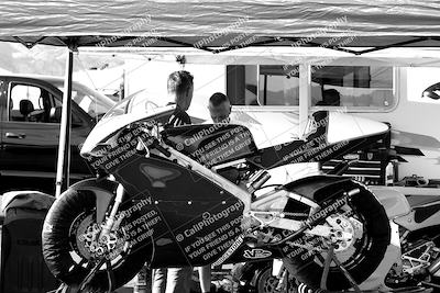 media/Mar-13-2022-SoCal Trackdays (Sun) [[112cf61d7e]]/Around the Pits/